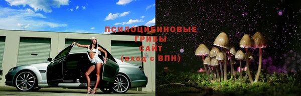 ГАЛЛЮЦИНОГЕННЫЕ ГРИБЫ Наволоки