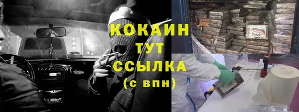 ГАЛЛЮЦИНОГЕННЫЕ ГРИБЫ Наволоки