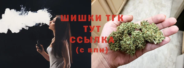 меф Бердск