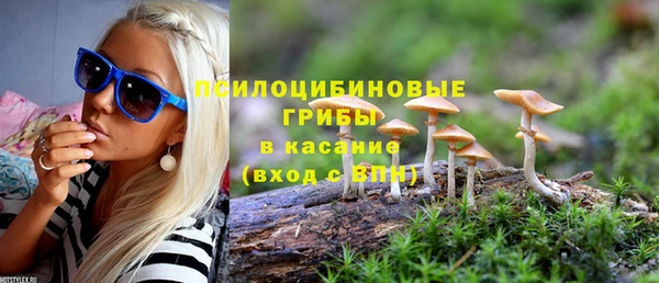 ГАЛЛЮЦИНОГЕННЫЕ ГРИБЫ Наволоки