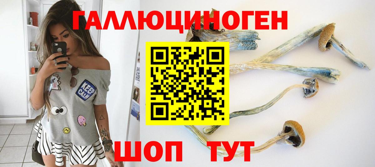 Галлюциногенные грибы прущие грибы  Липецк 